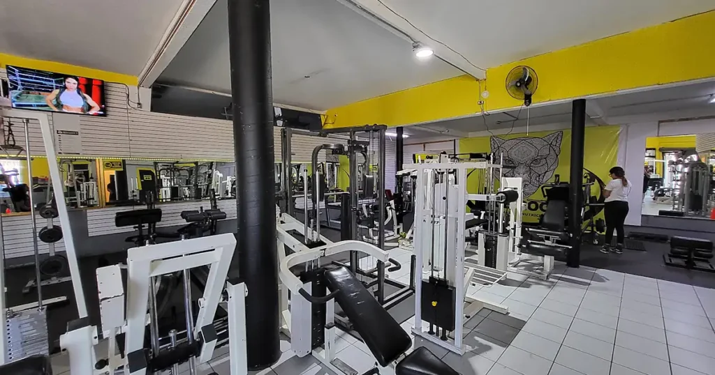 Once Rocaz Gym 2