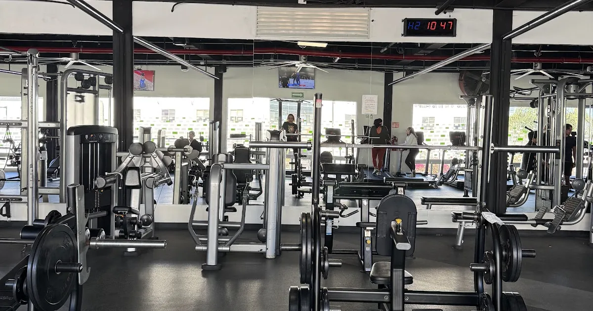 TOPFIT