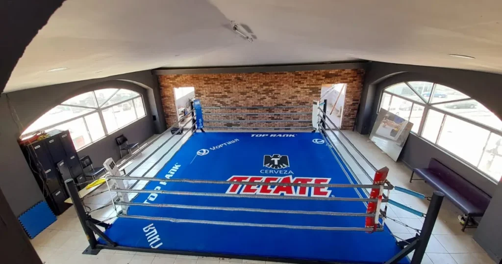 TF Training – Box & Fitness