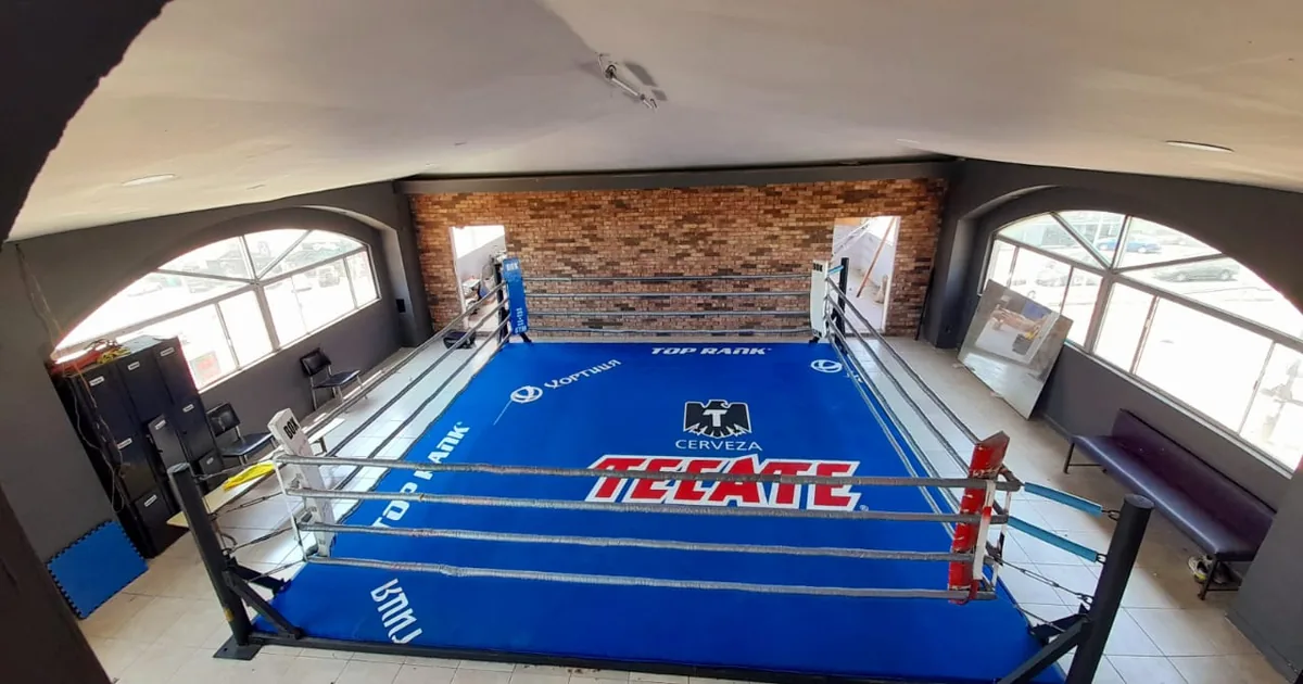 TF Training – Box & Fitness