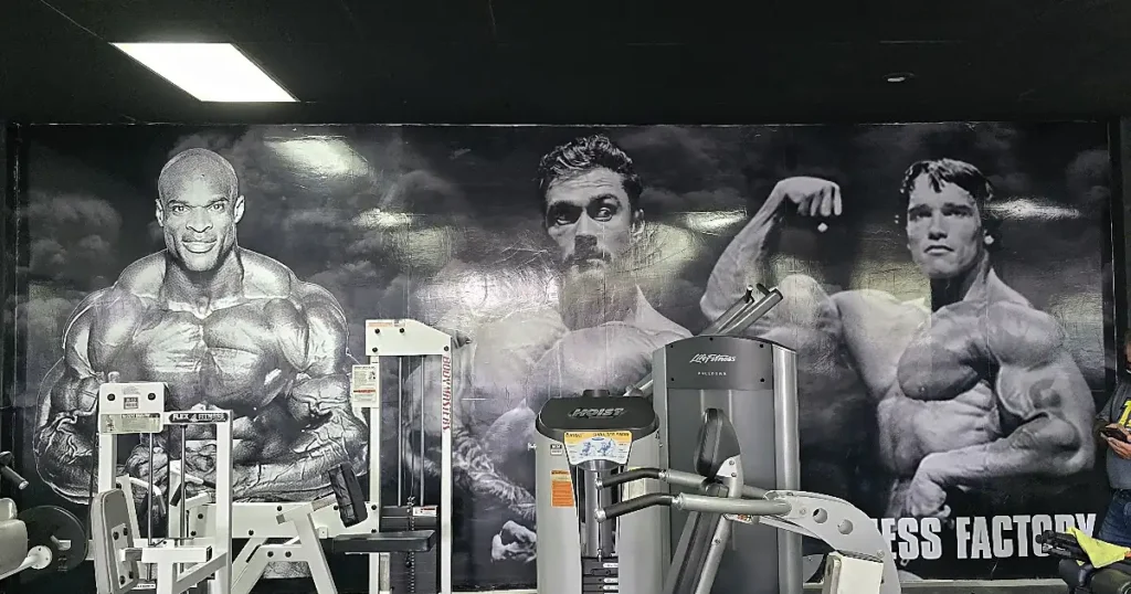 The Fitness Factory Tecate