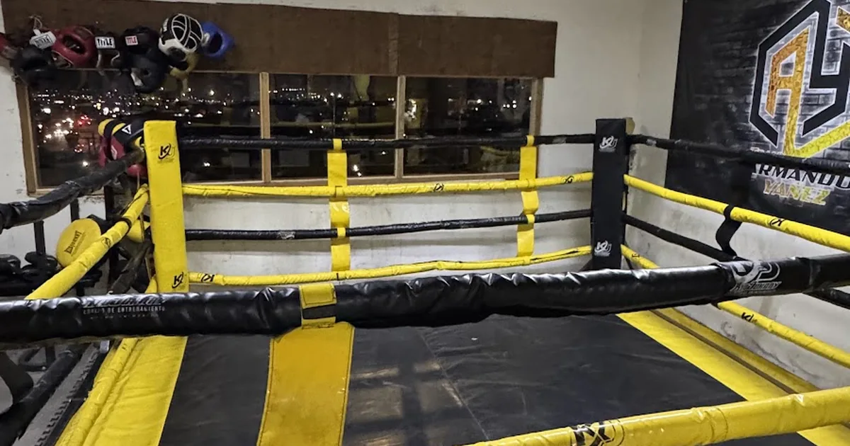 Yáñez Boxing