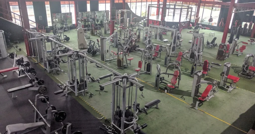 Elite Fitness Oficial