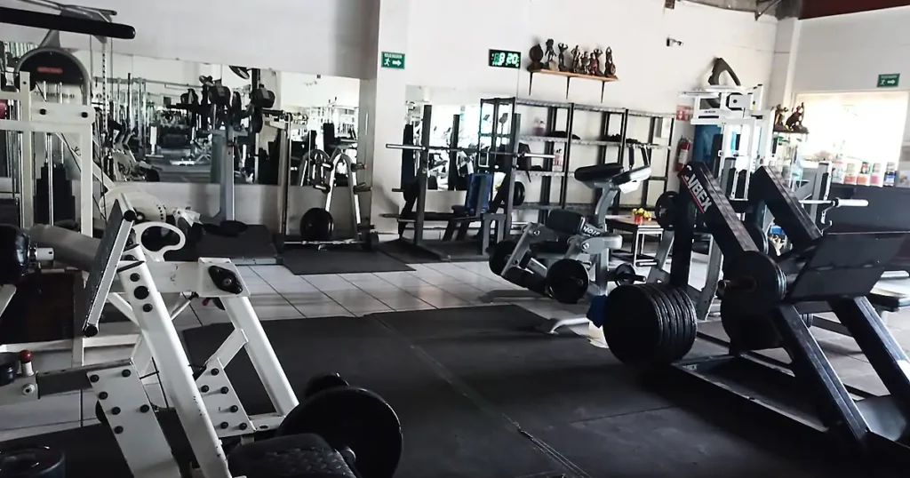 Evolution Gym