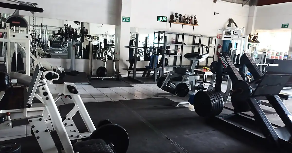 Evolution Gym