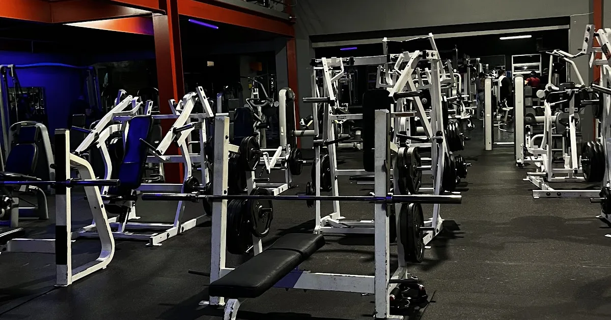 City Fitness