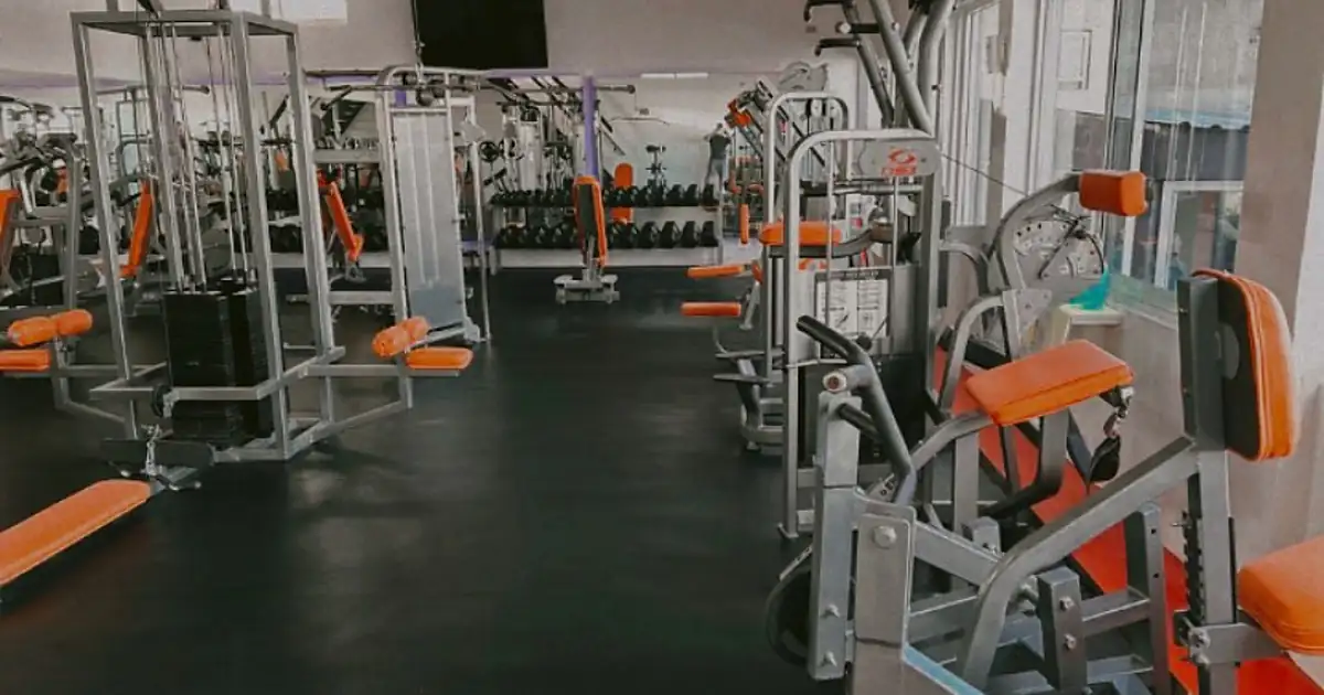 Vikingos Gym