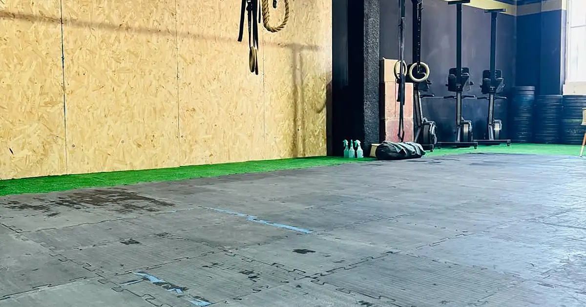Seal crosstraining cabo