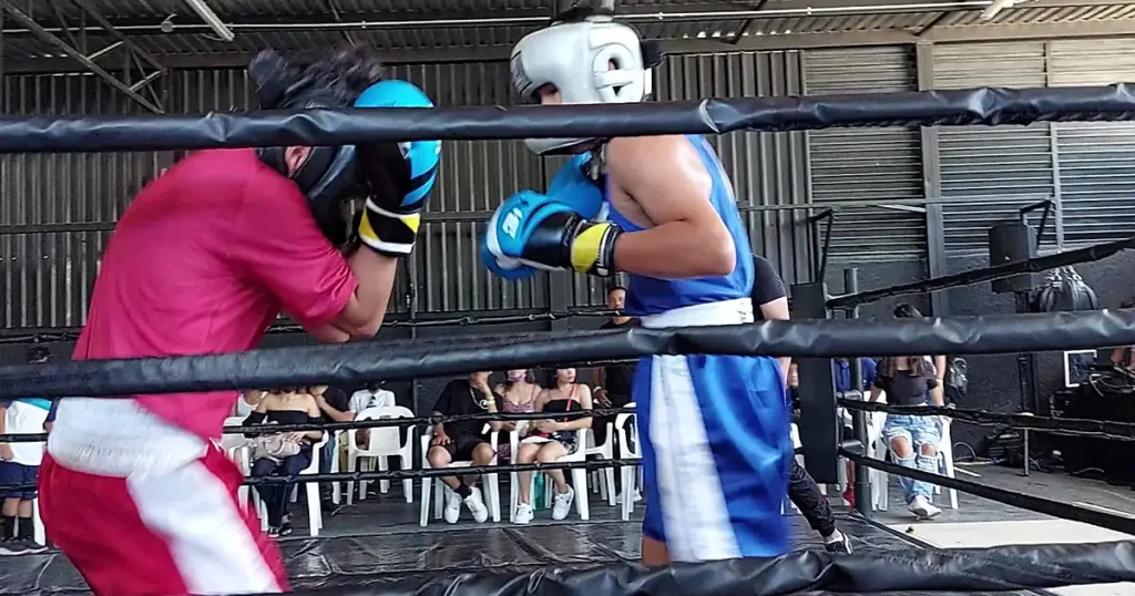 CONSCIENCIA MUAY THAI, BOX & MMA