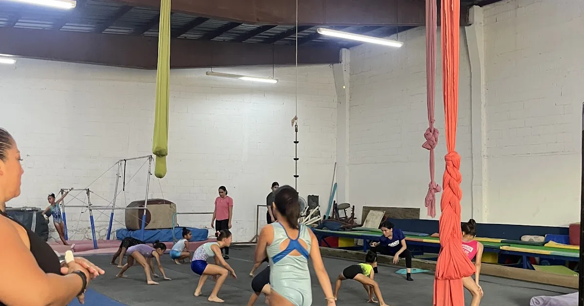 Hinogym