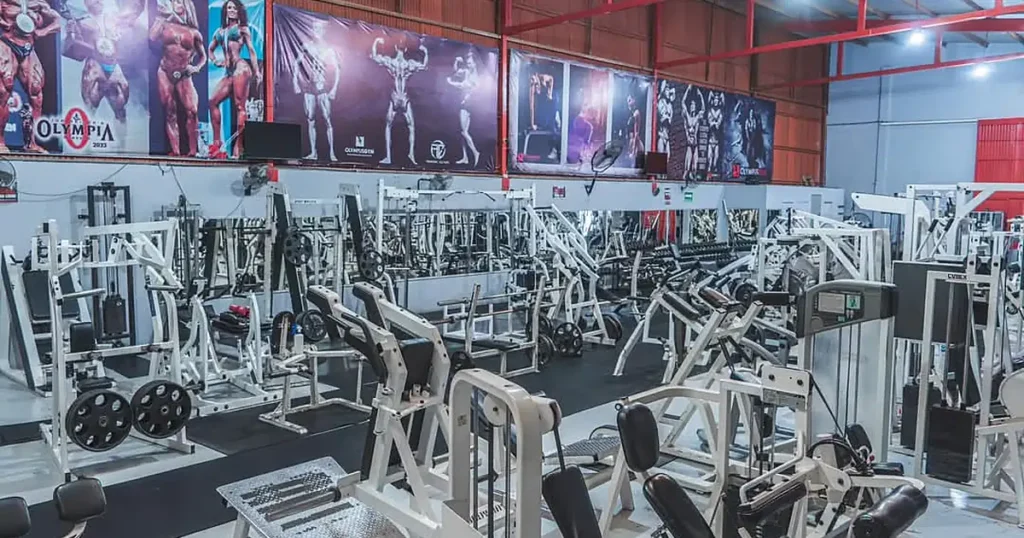 Olympus Gym Tuna