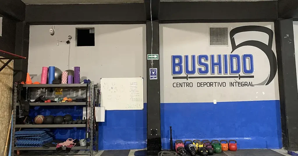 Bushido: Centro Deportivo Integral