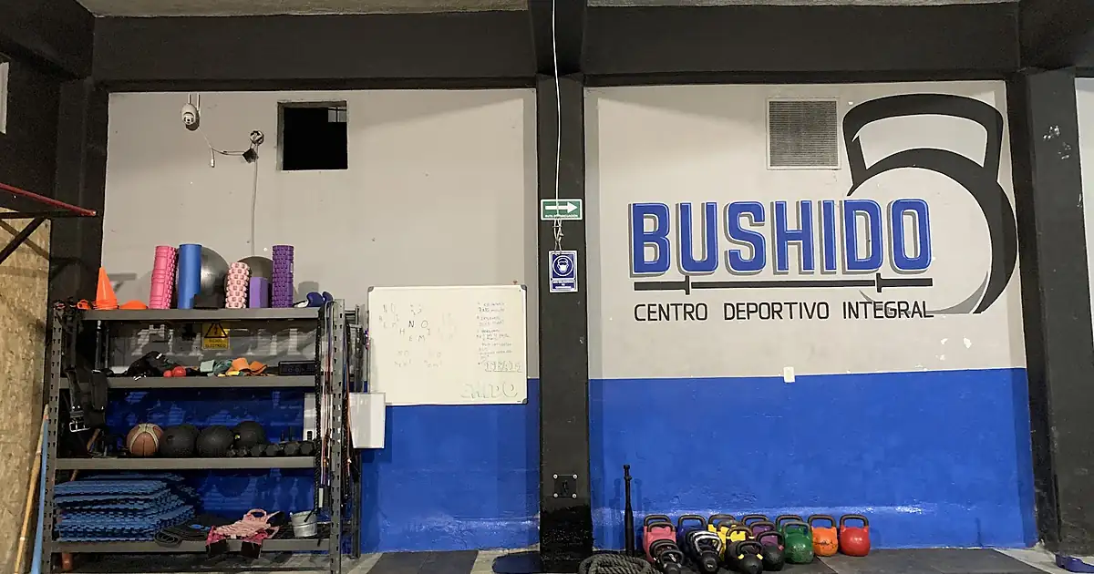 Bushido: Centro Deportivo Integral