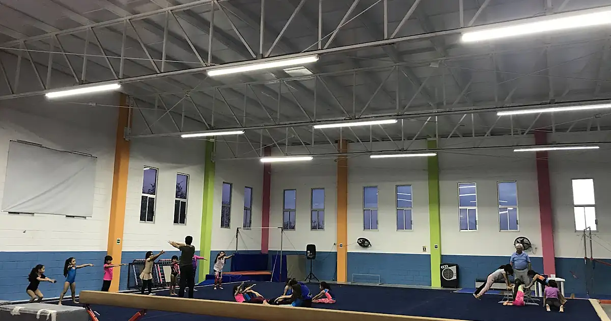 Futugym