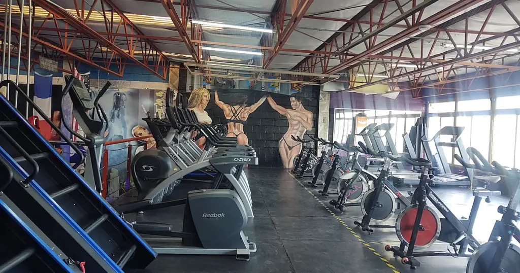 Steel Gym