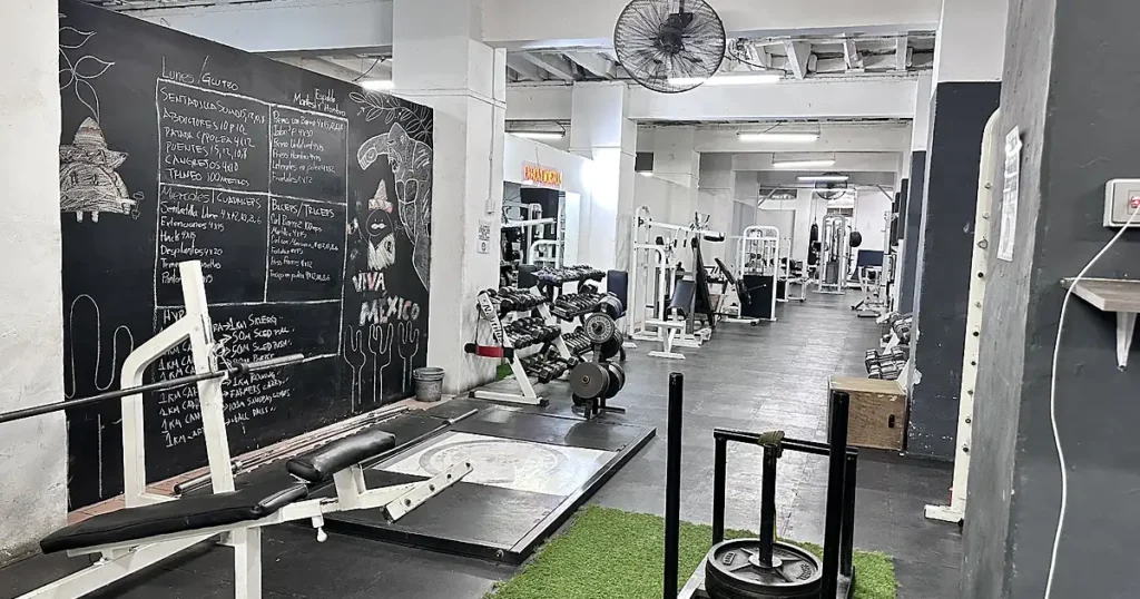 Ced Gym