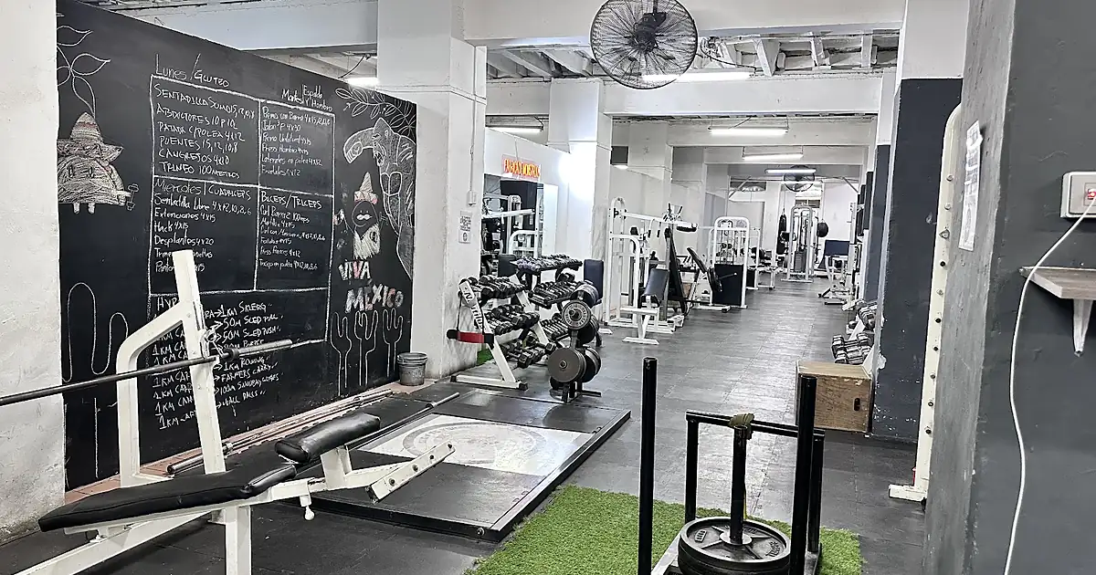 Ced Gym