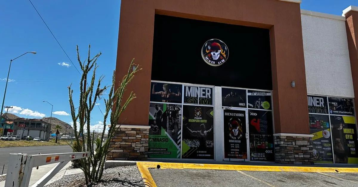 Miner Gym Chihuahua