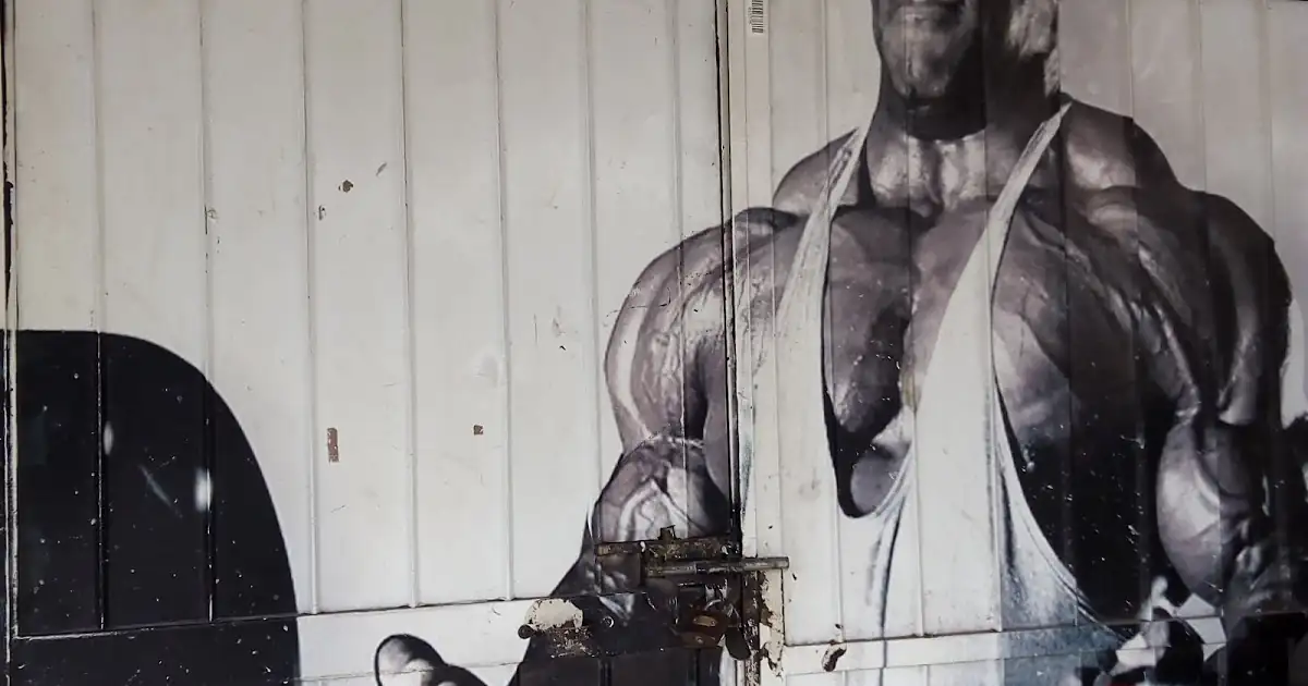 Monster Gym