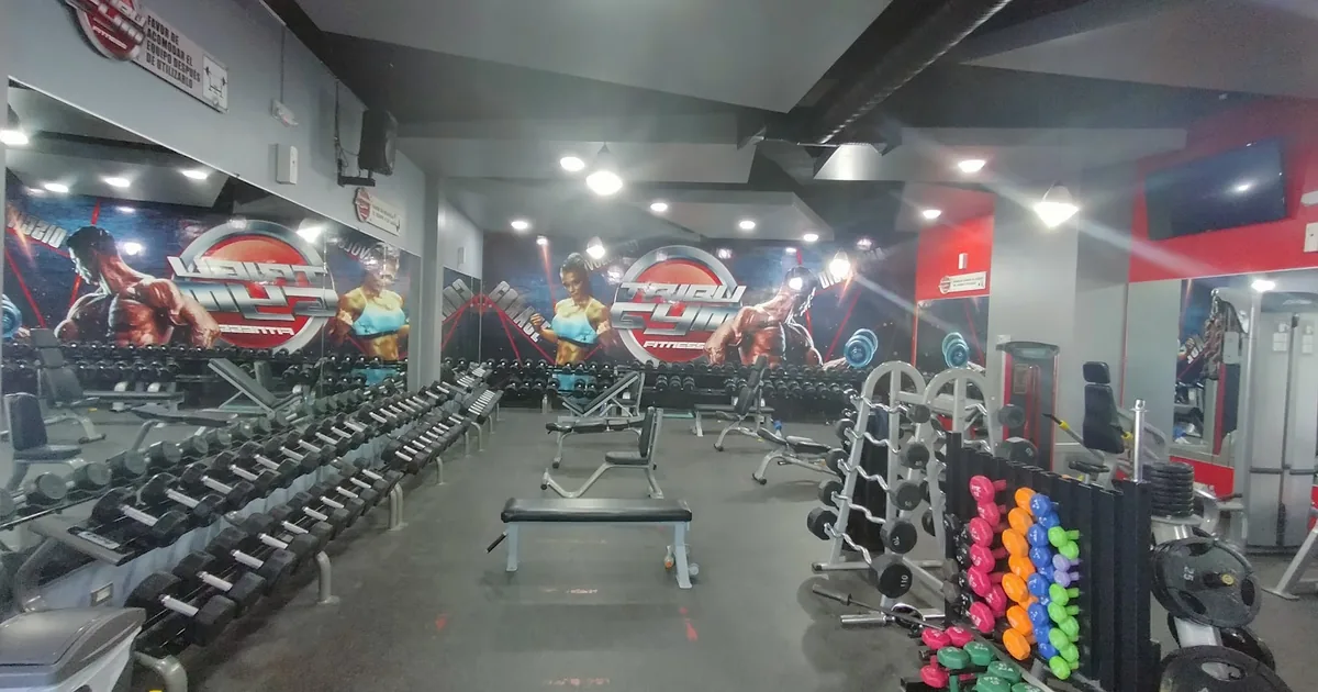 TRIBU GYM