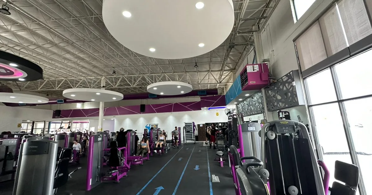 TRAINER GYM PLUS