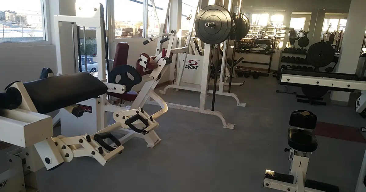 Professional Gym