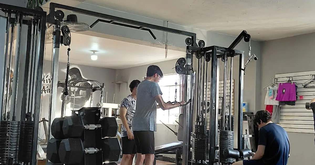 VIKINGOS GYM