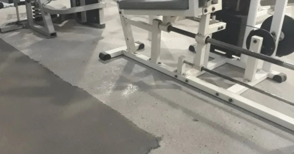 Force GYM