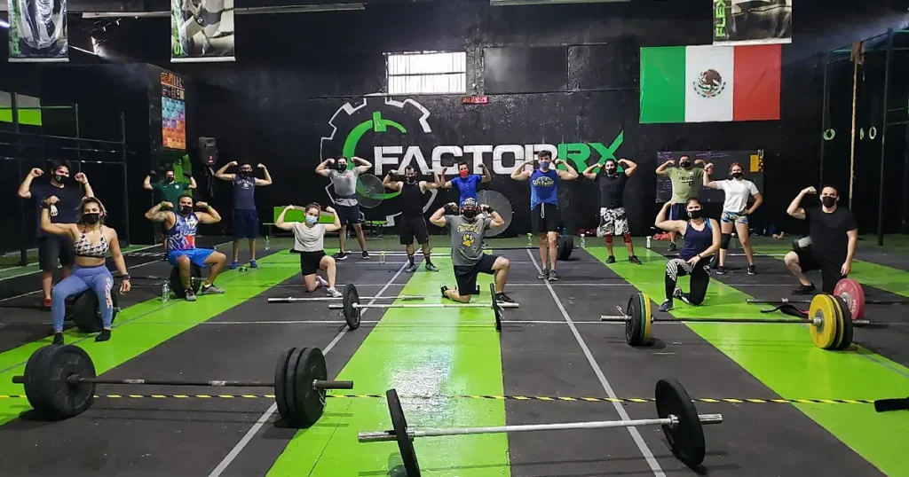 Factor Rx CF