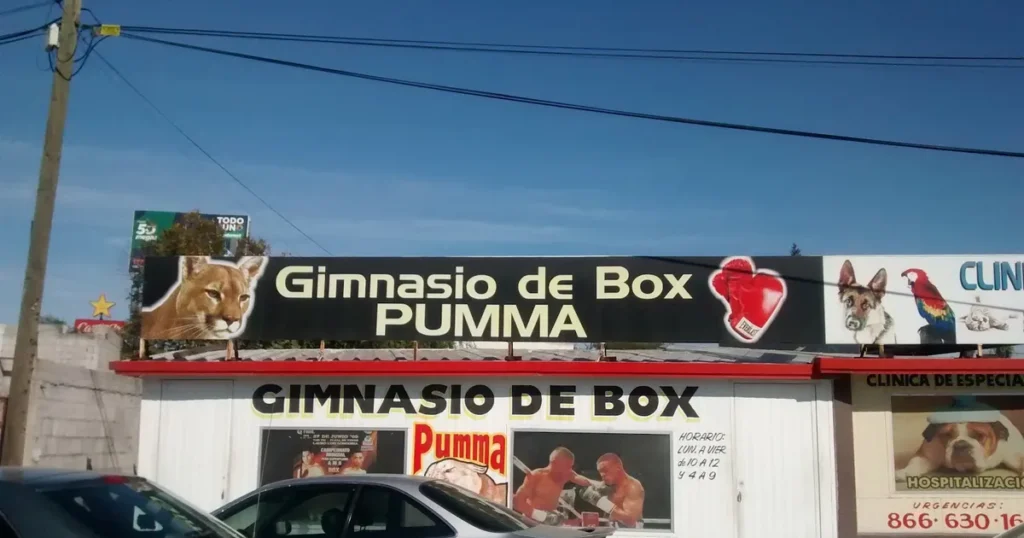 Gimnasio de Box Marsopa Castro