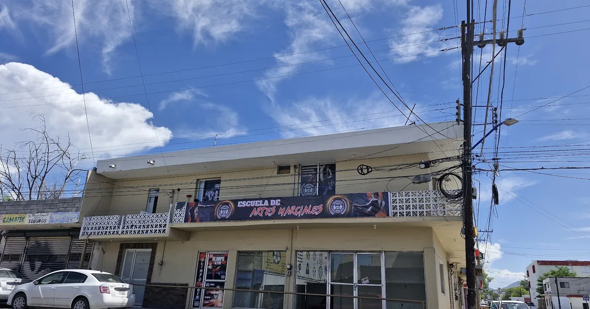 Olimpo gym – Escuela de combate