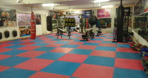 Academy Wolf Extreme, gimnasio en Frontera, Coahuila