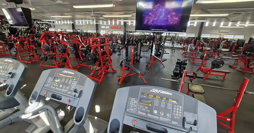 Orba Fitness Muscle Designing