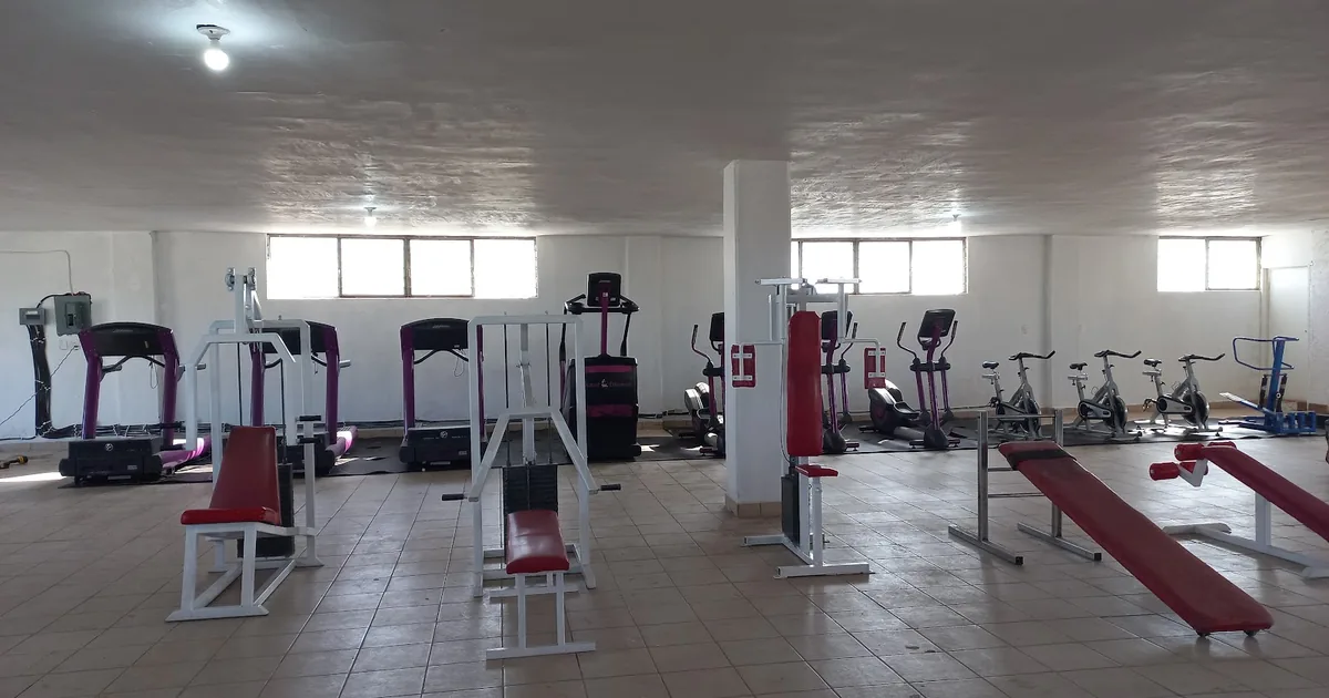 Capo’s Gym #3