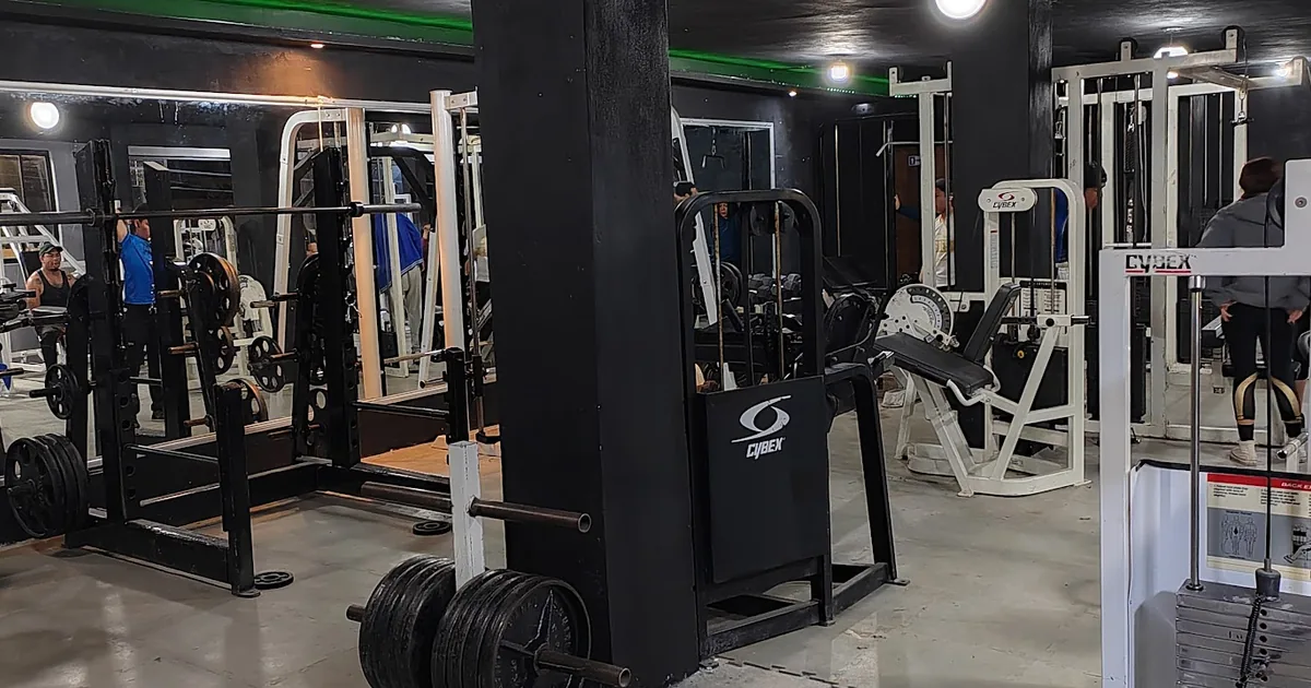 Gym rat fitness