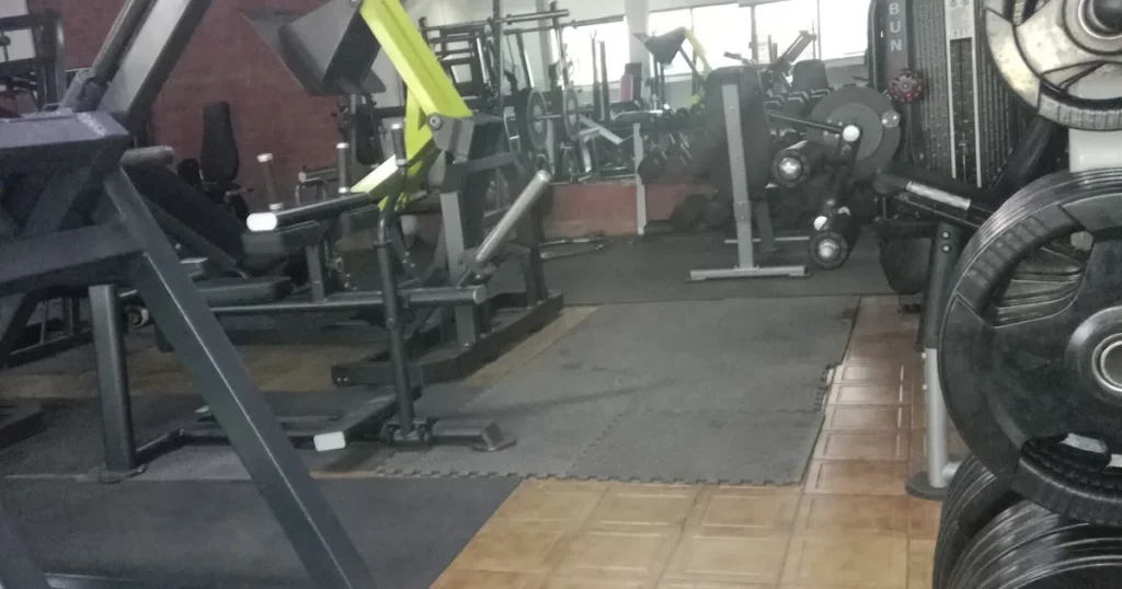 Olympus GYM