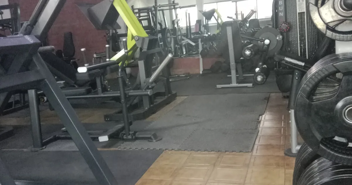 Olympus GYM