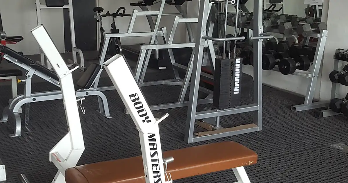 Evolution Gym