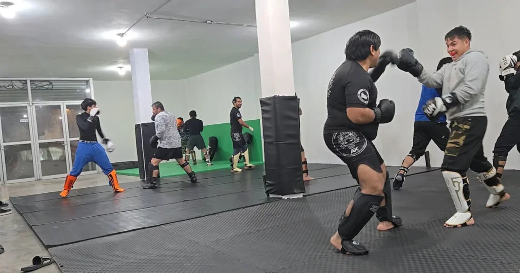 AX Centro de entrenamiento
