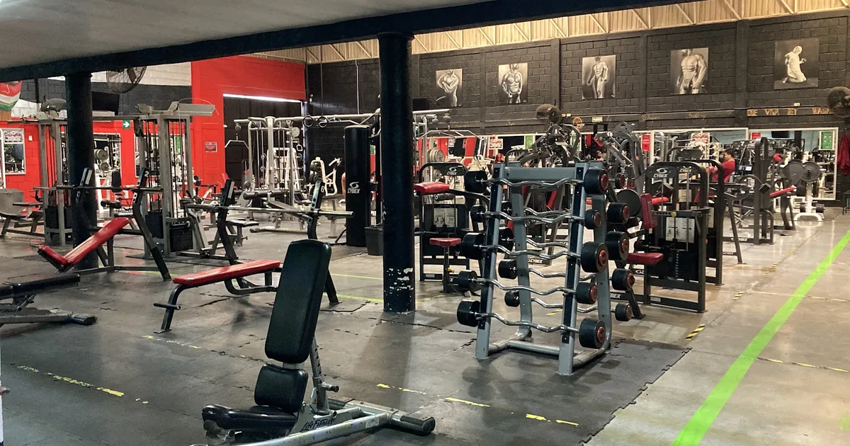 CAMPEONES GYM