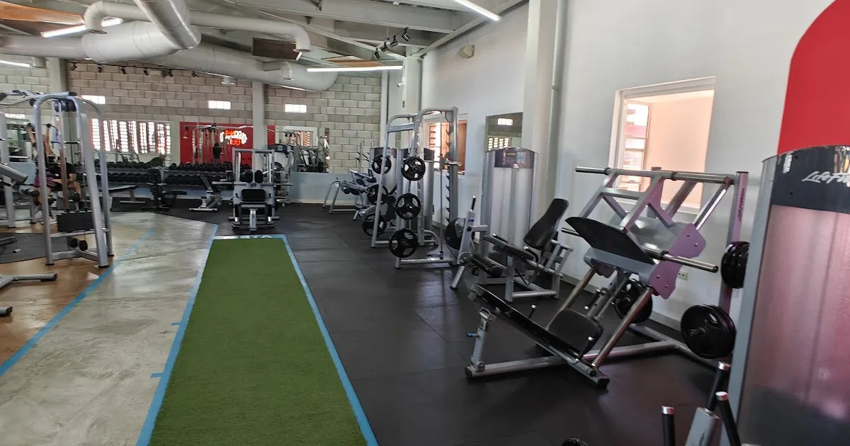Spotter Gym