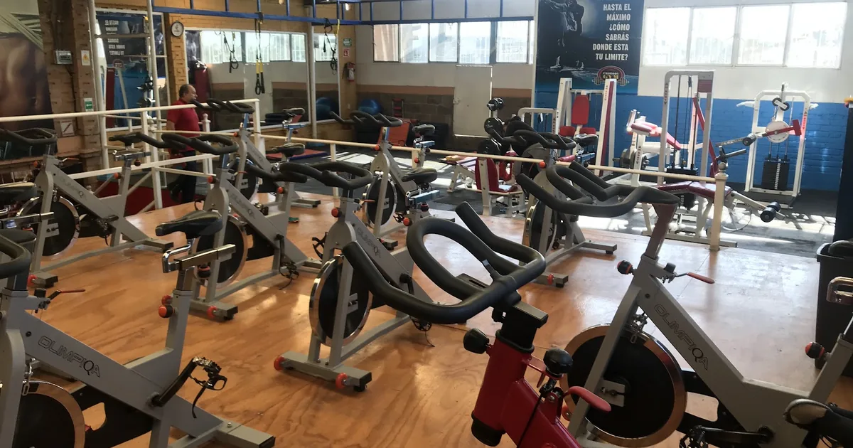 PROBODY GYM