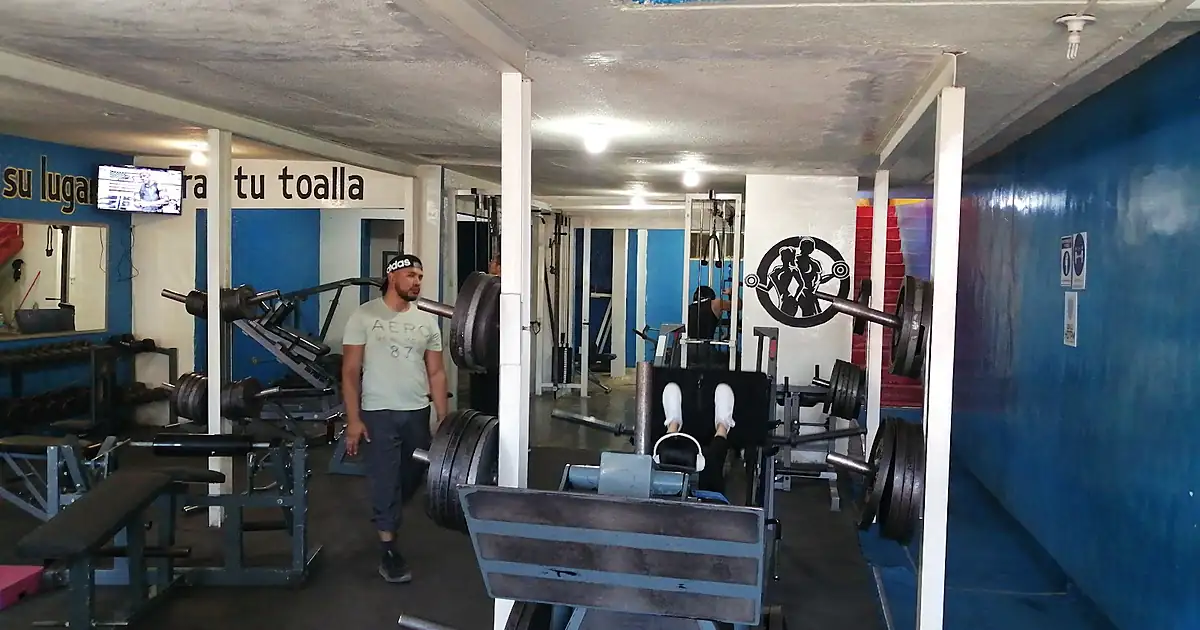 Venus Gym