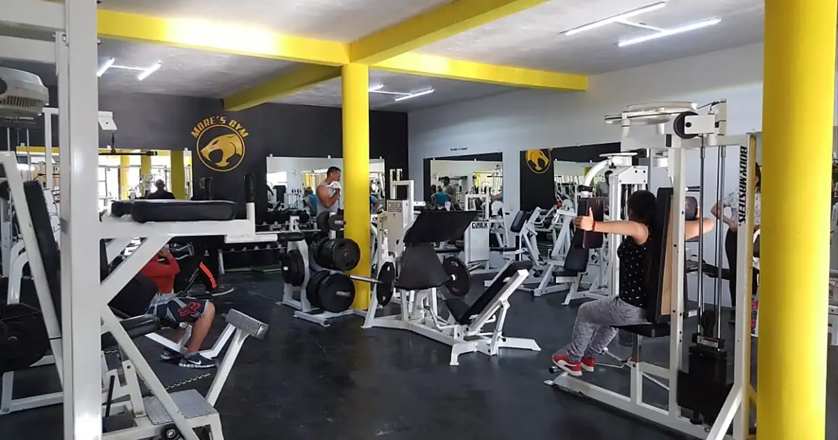 More´s Gym