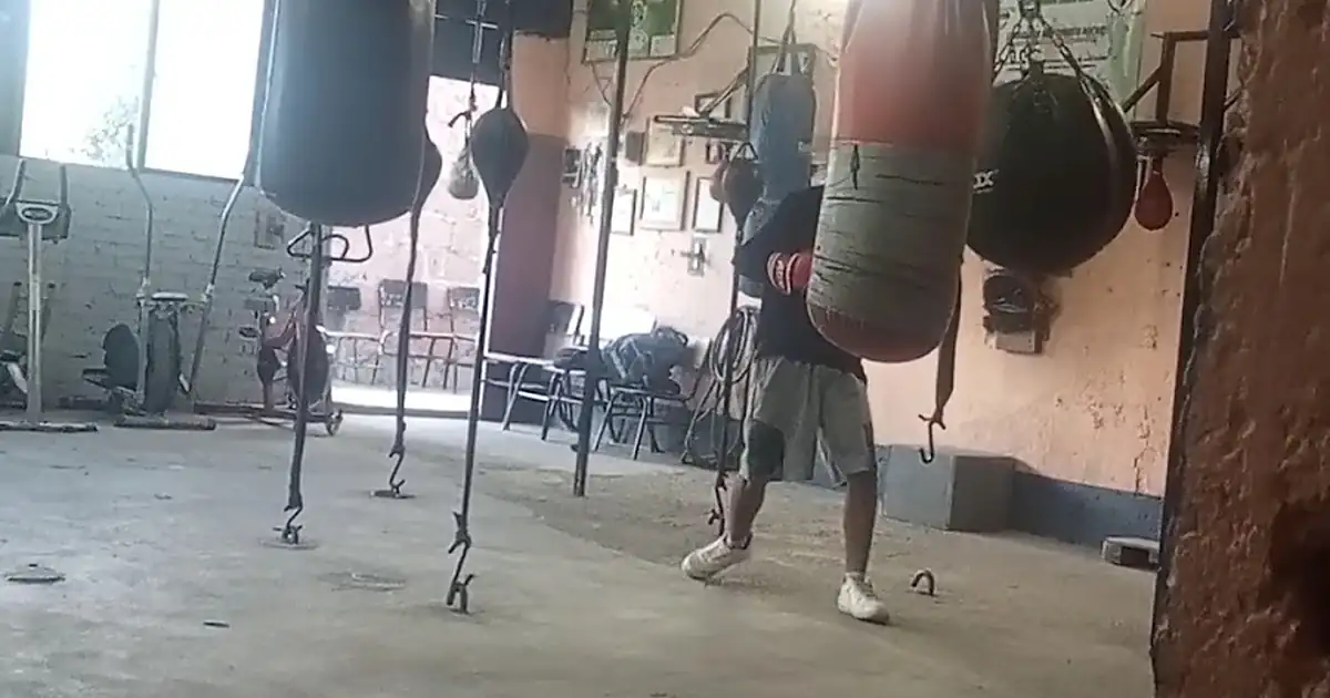 Box Gym Zorrito Rocha