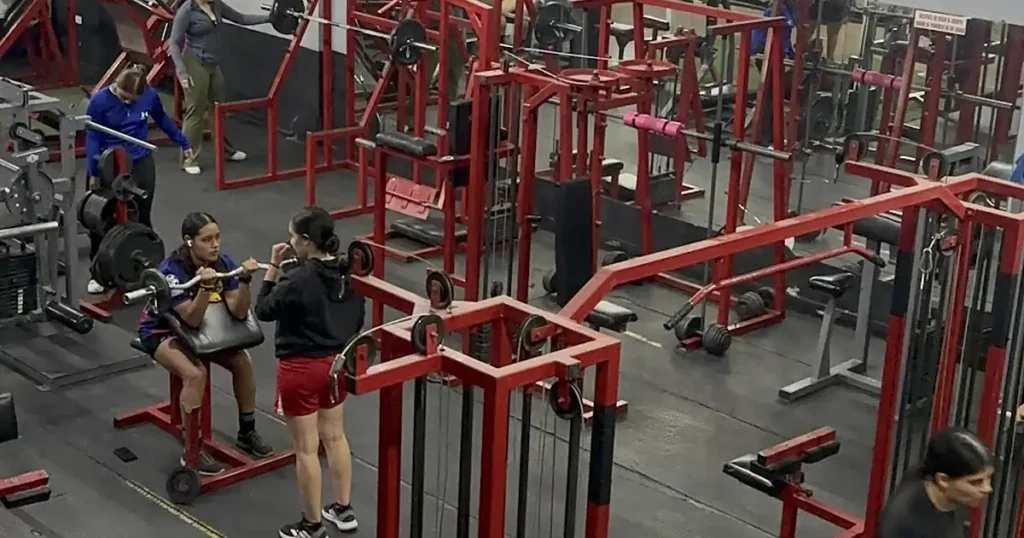 Gym Colecio
