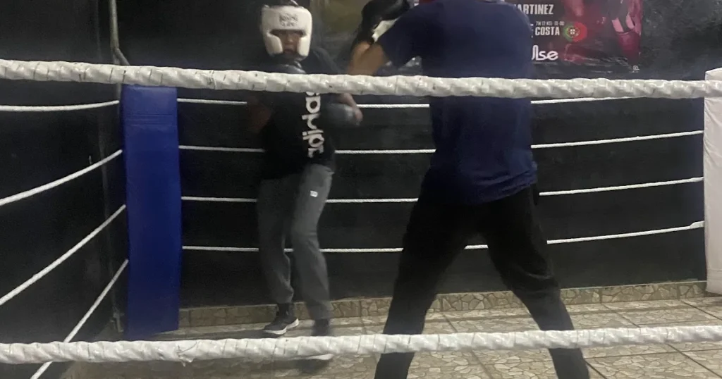 BULL FORCE GYM