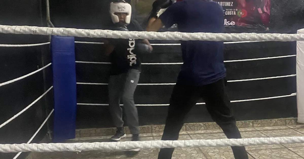 BULL FORCE GYM
