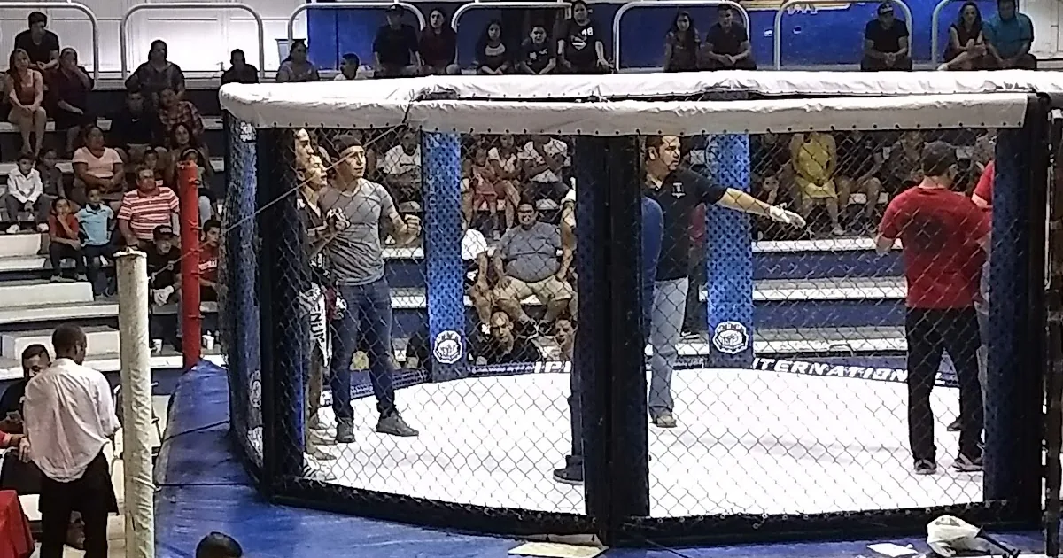Palacio de los Combates