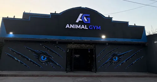 ANIMAL GYM, gimnasio en Lerdo, Durango